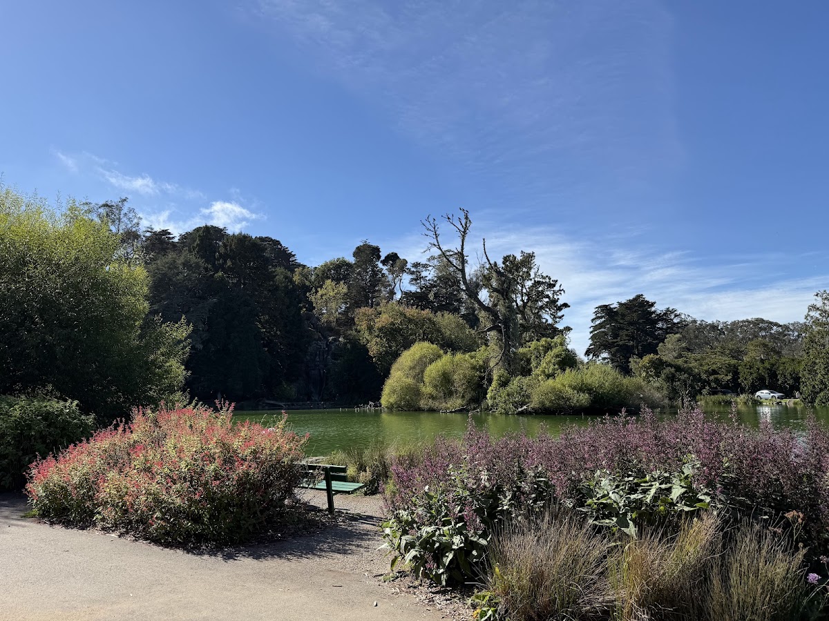 Zellerbach Garden of Perennials