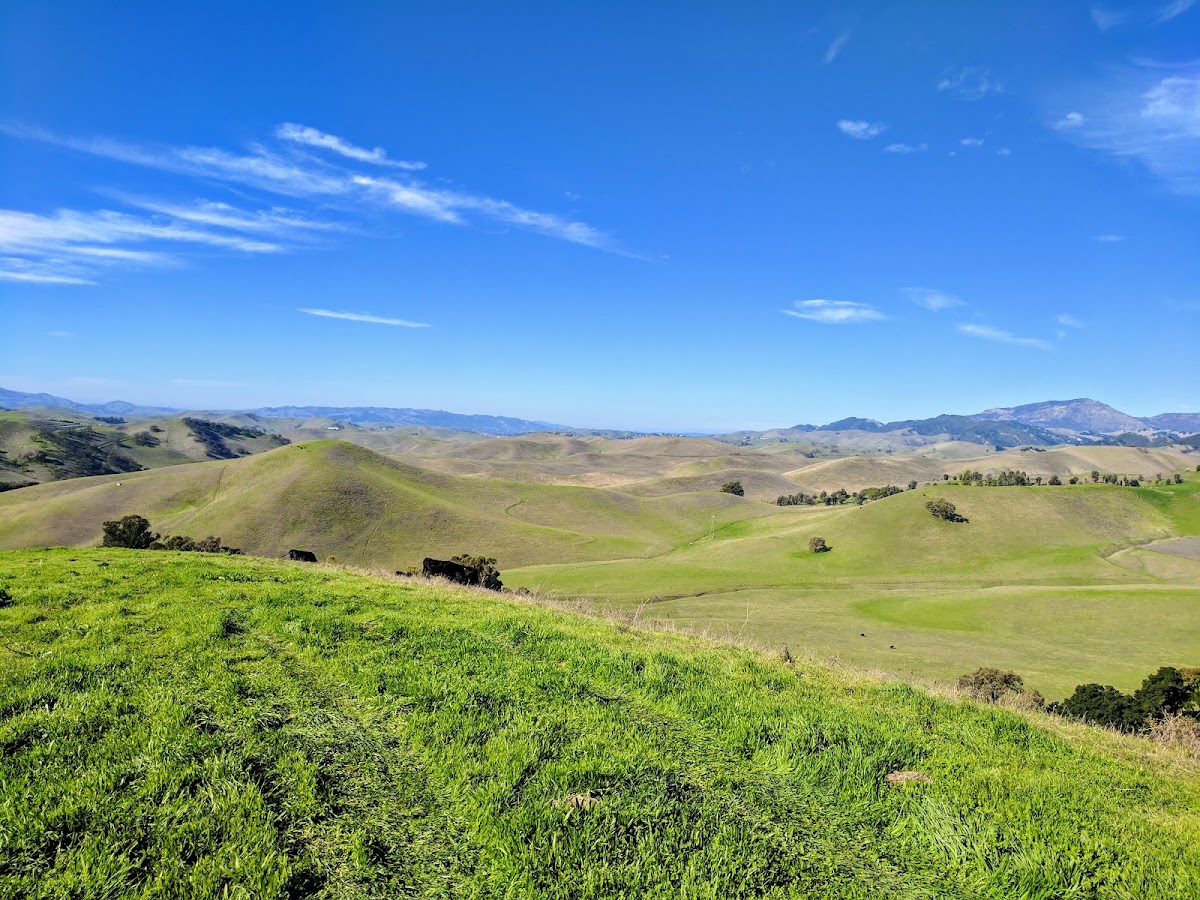 Reinstein Ranch