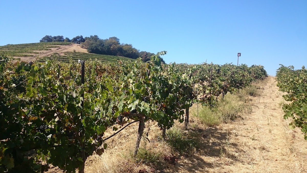 Brooklyn West Winery