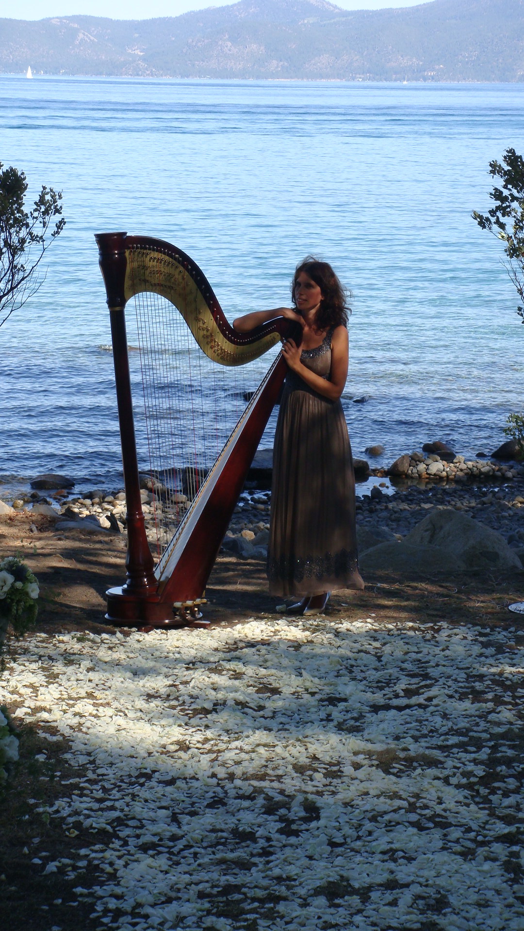 Enchanting Harp for Weddings and Special Events, Larisa Smirnova