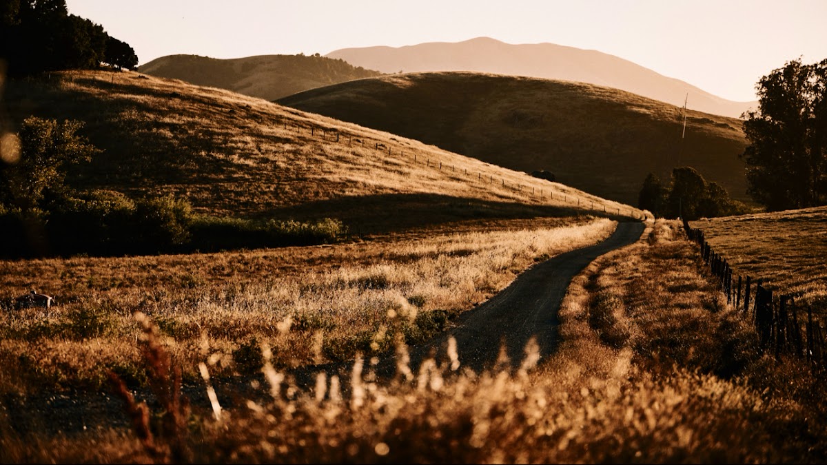 Cow Track Ranch
