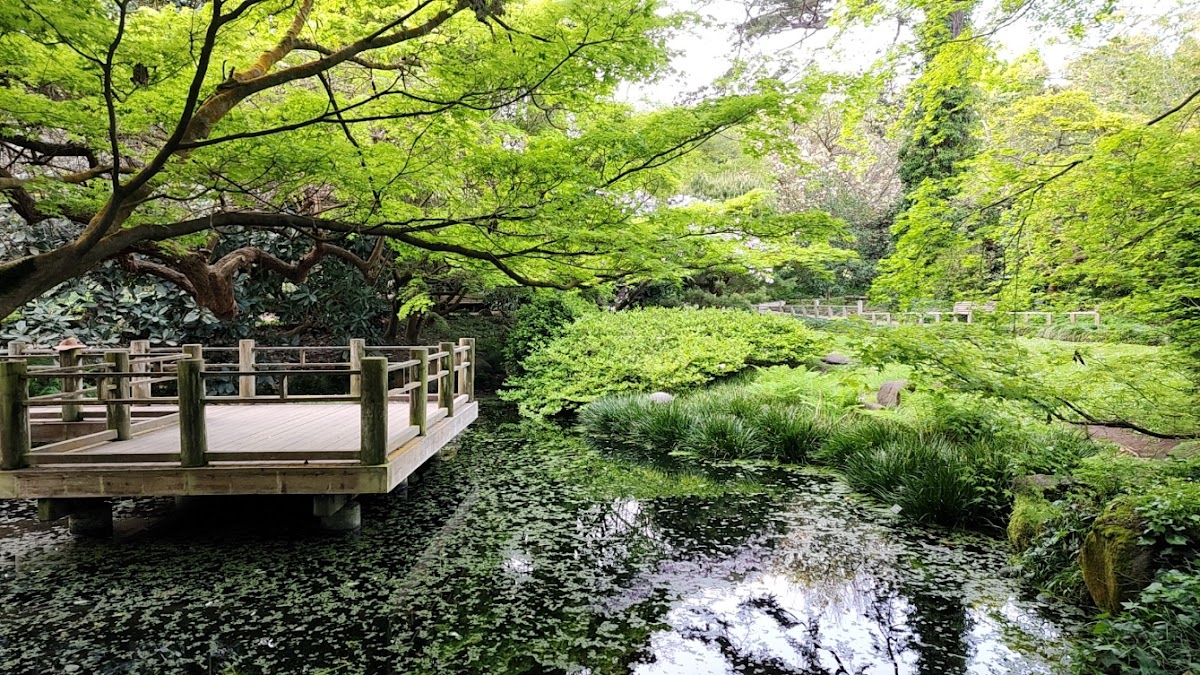 Moon Viewing Garden