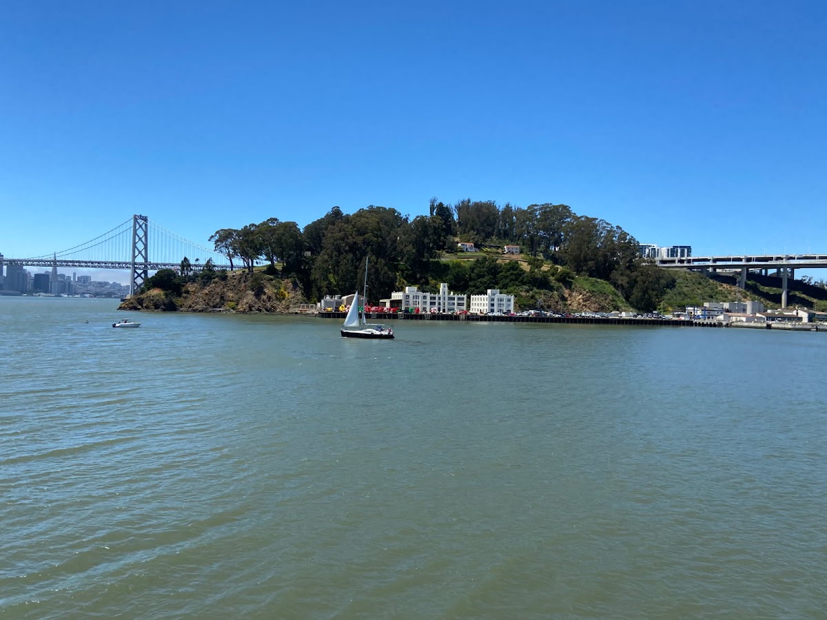 City Cruises