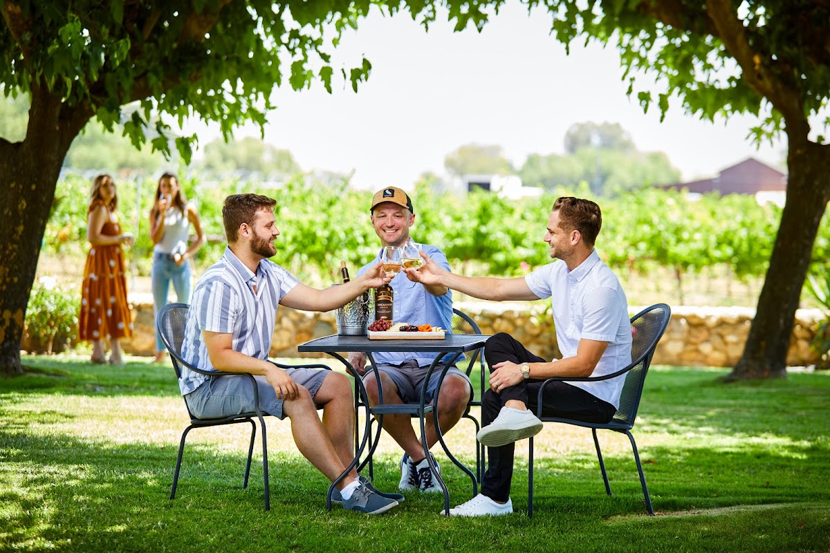 Concannon Vineyard