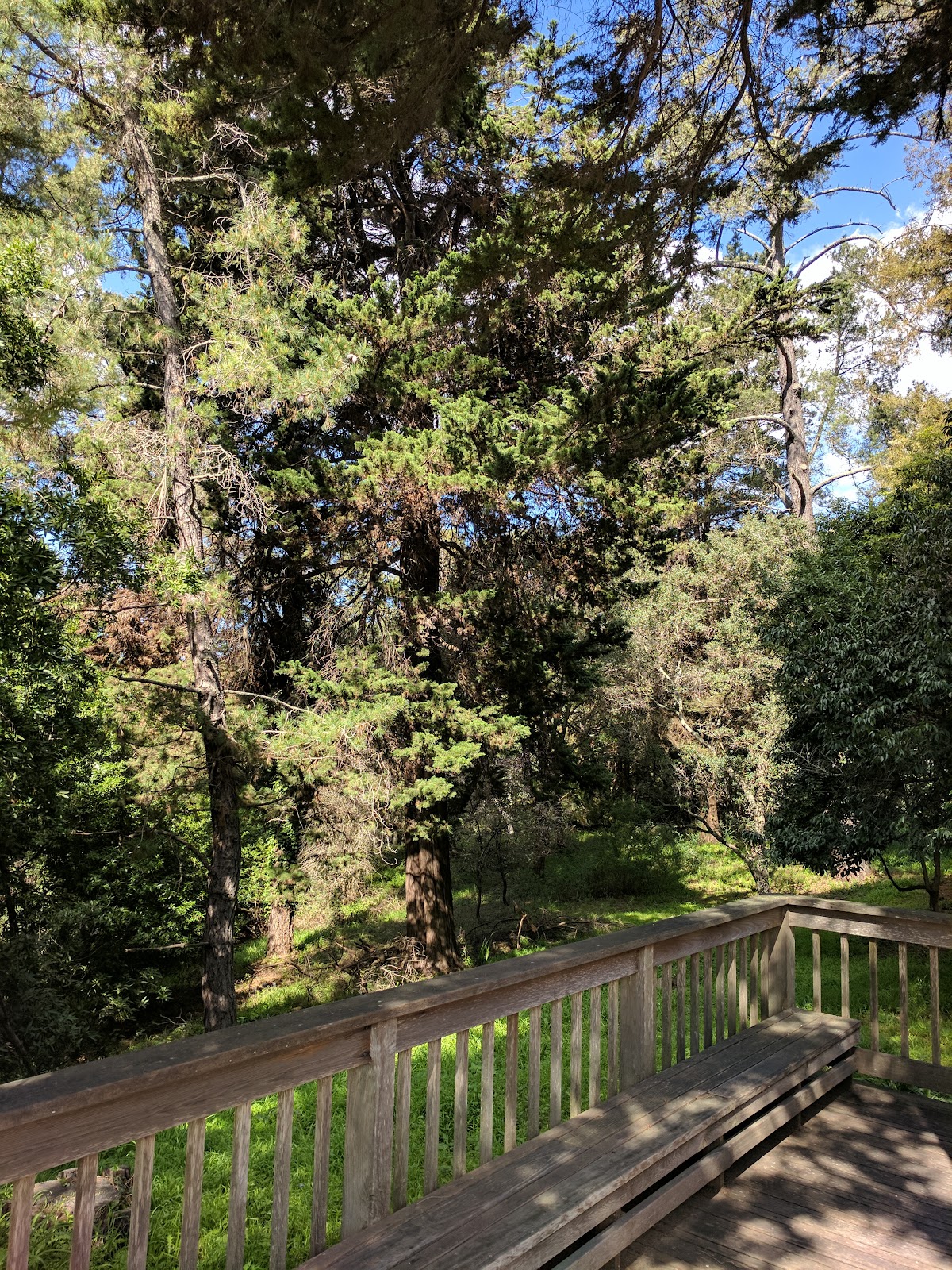 Sequoia Lodge