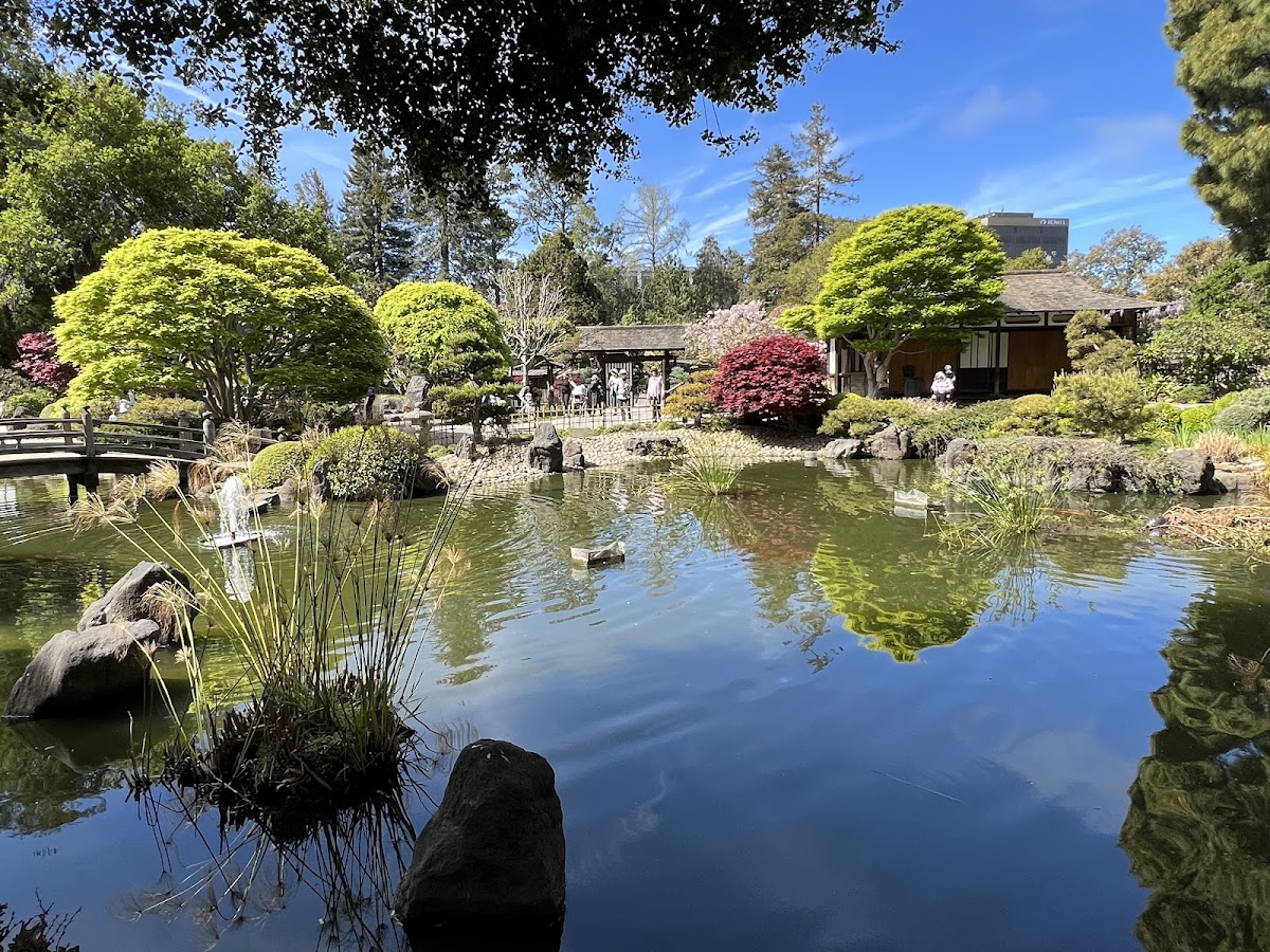 San Mateo Japanese Garden - Entrance