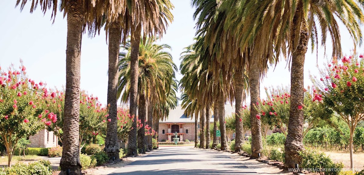 Palm Event Center in the Vineyard