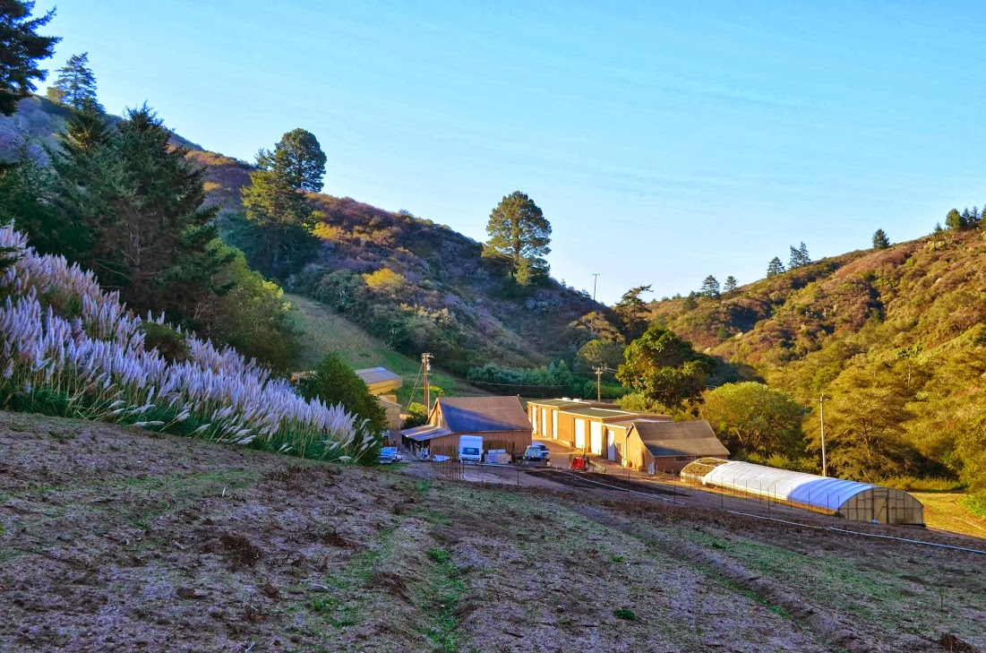 Ananda Valley Farm