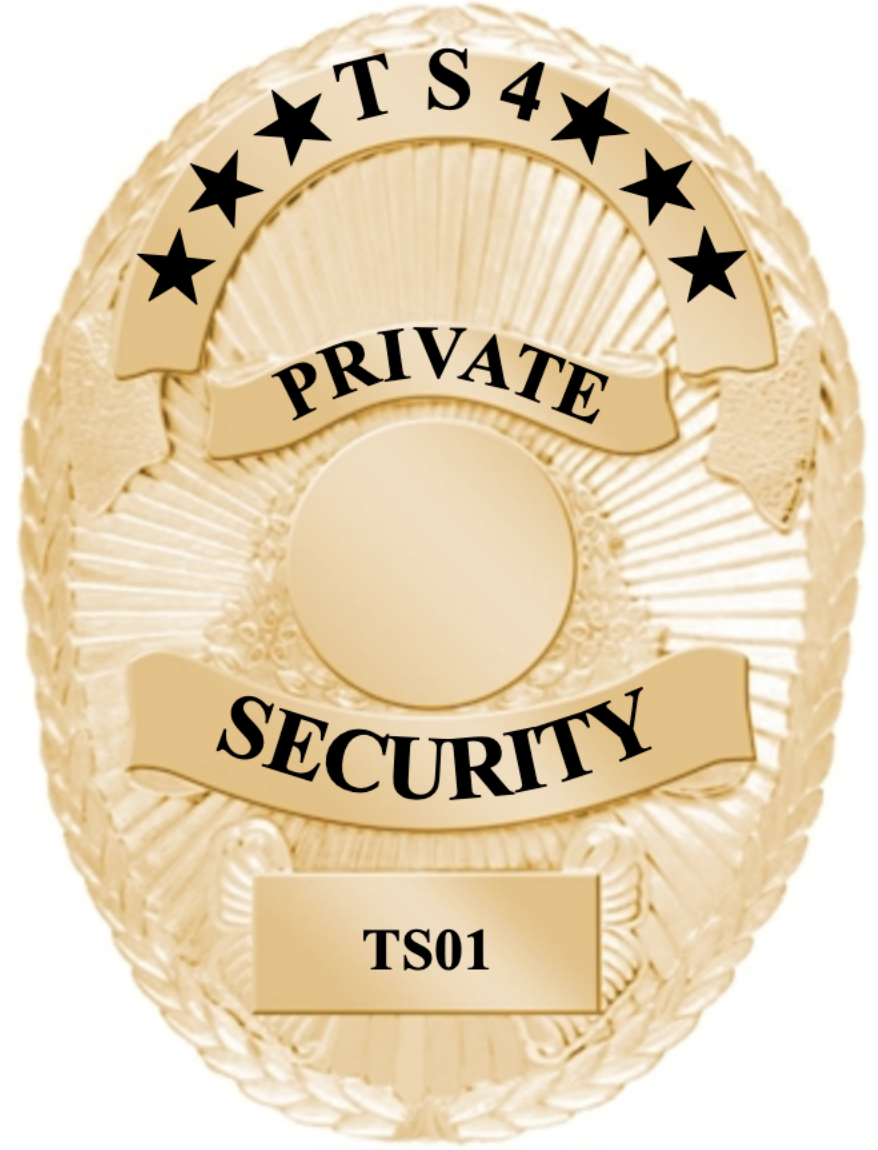 TS4 Security Service