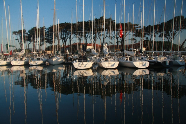 SF Bay Adventures