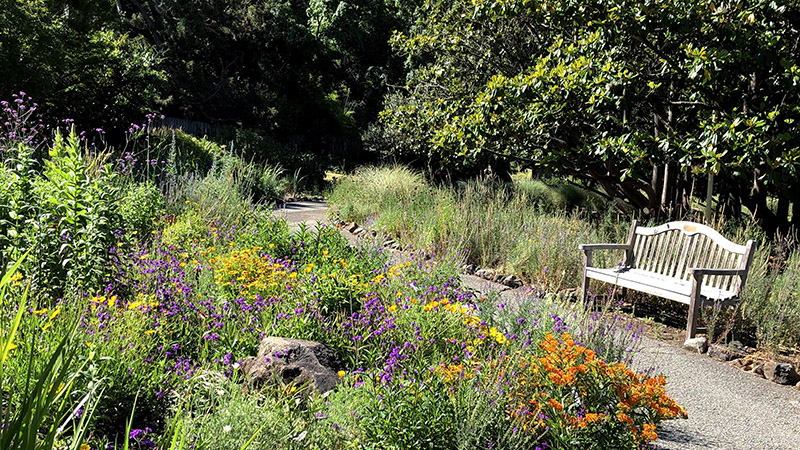 Marin Art and Garden Center