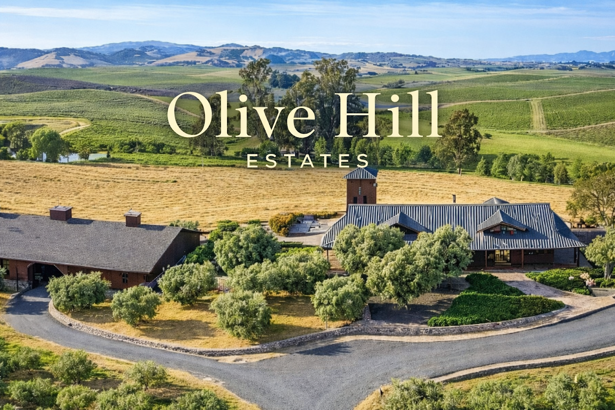 Olive Hill