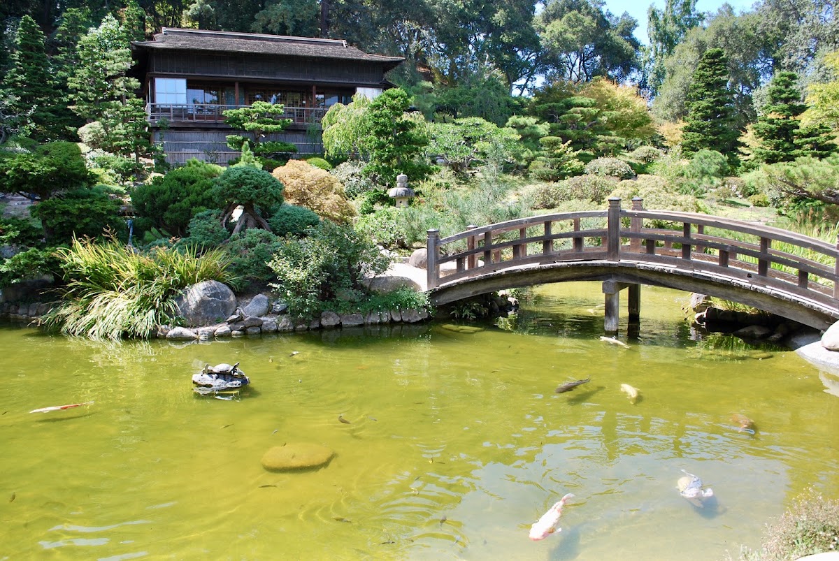 Hakone Estate and Gardens