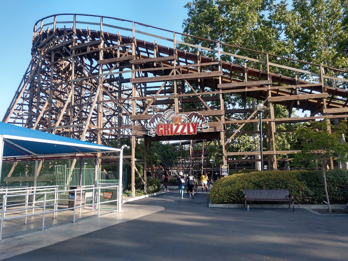 The Grizzly