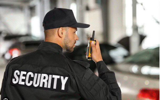 Excellent Security Services